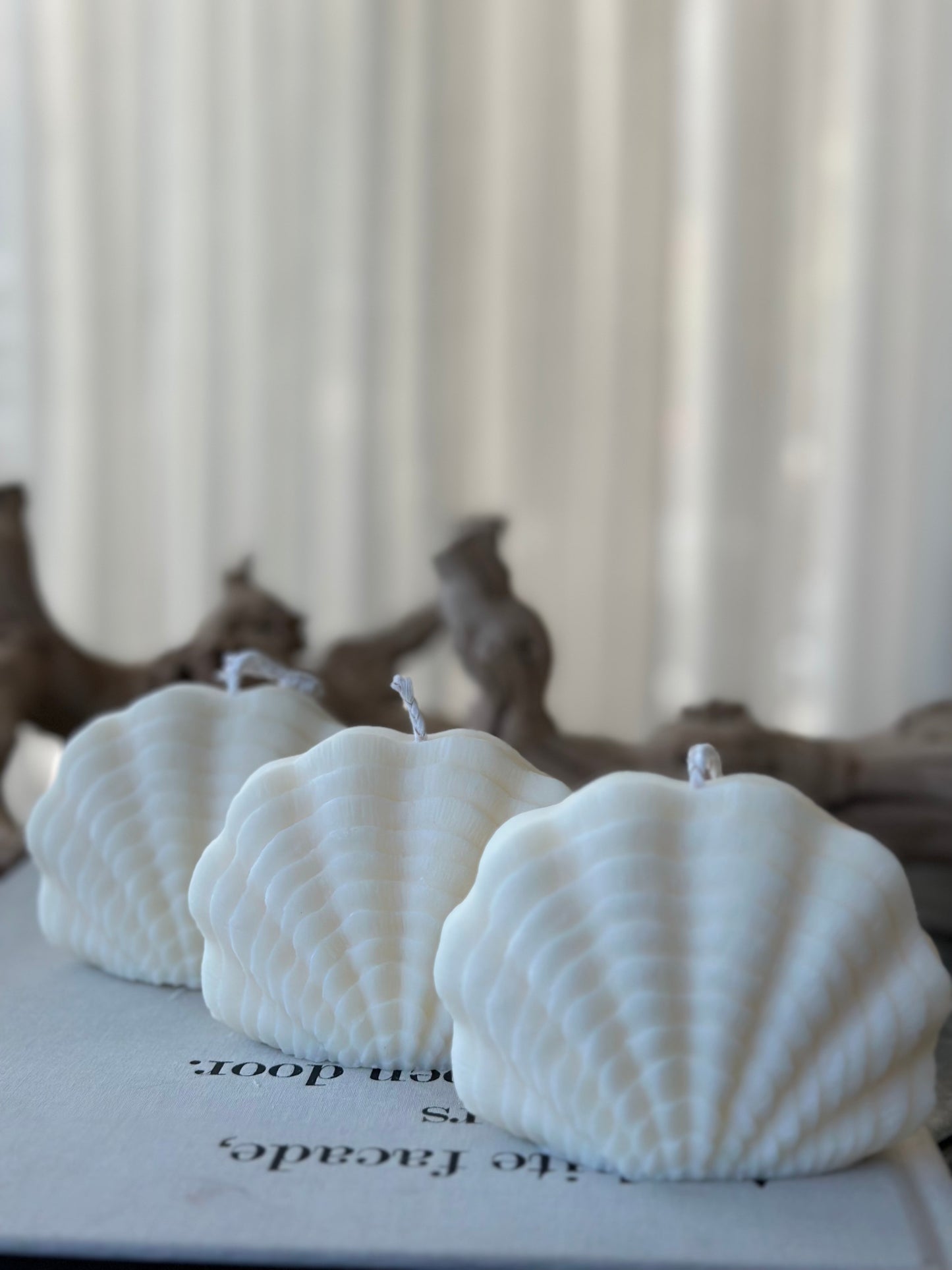 Scallop Shell Candle- Set of three