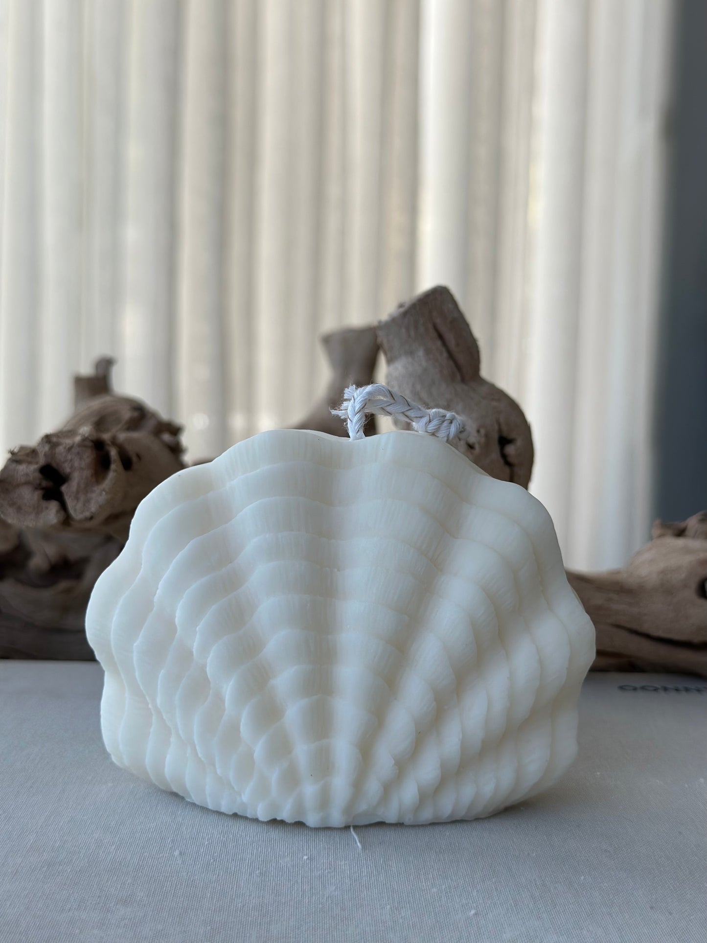 Scallop Shell Candle- Set of three